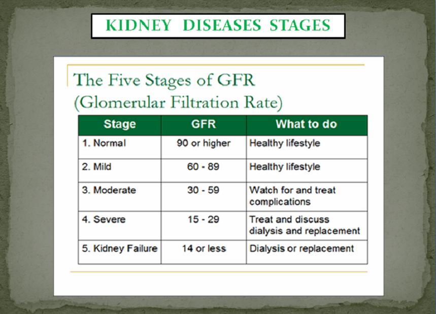 KINDEY INFECTIONS PACKAGE